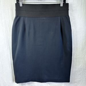 Carlisle Charcoal High Elastic Waist Knee-Length Fully Lined Pencil Skirt Sz 8